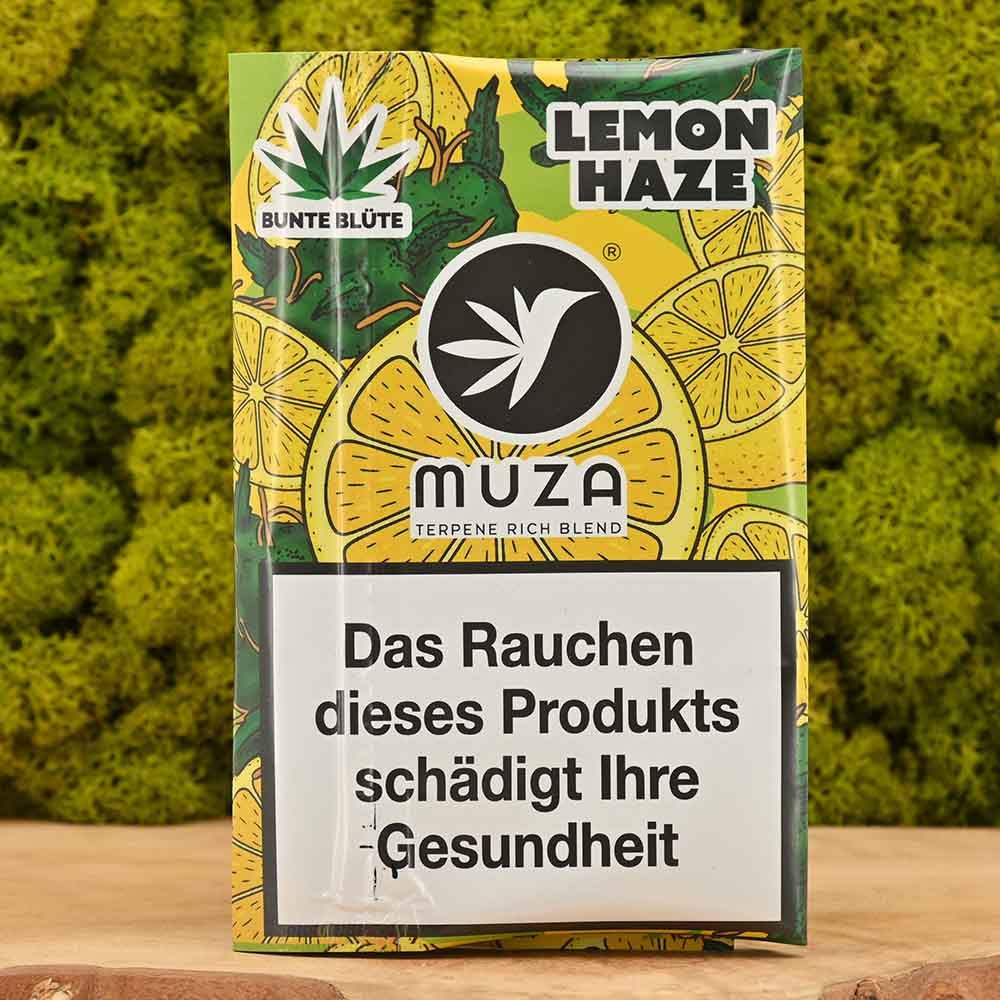 Vorschaubild 1